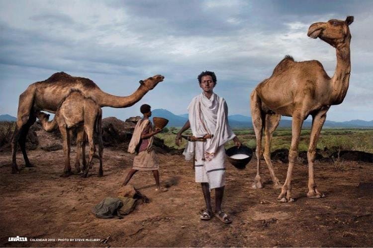 The Chieftain: uno degli scatti del Calendario Lavazza 2015 di Steve McCurry che ritrae Roba Bulga, attivista alimentare etiope della tribù nomade dei Karrayyu con la quale ha creato il Presidio Slow Food del latte di cammello; Roba è ritratto accanto al suo cammello, mentre tiene in mano la ciotola del latte. Sullo sfondo una cammella sta allattando il suo cucciolo